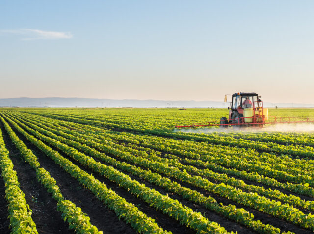 Tractor spraying soybean field