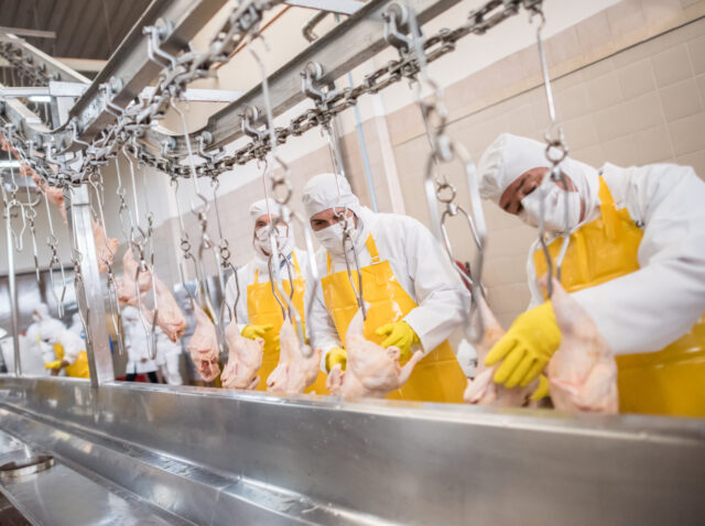 200306-gallery-nOkwPGPTp